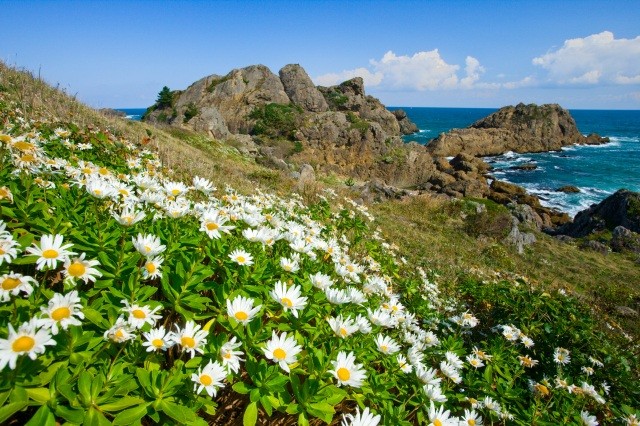 Sanriku Fukko (reconstruction) National Park　Tanesashi Coast