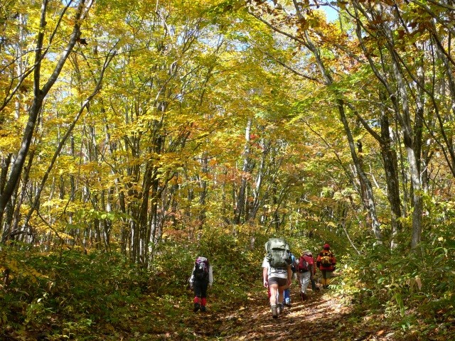 色づく鞍掛山登山道