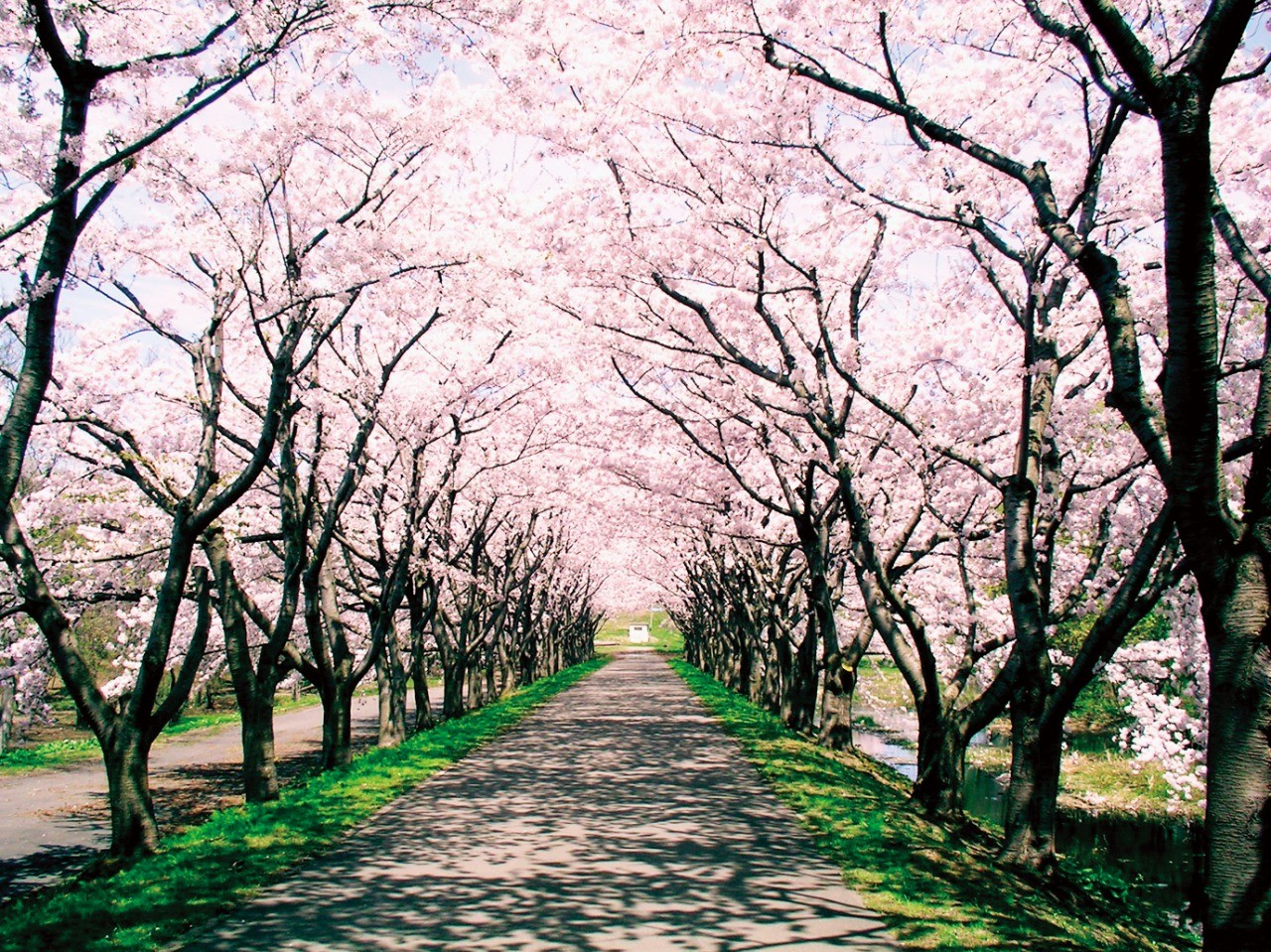 浪岡湿生花園 旅東北 東北の観光 旅行情報サイト