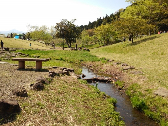 公園内に小さな川が流れています。
