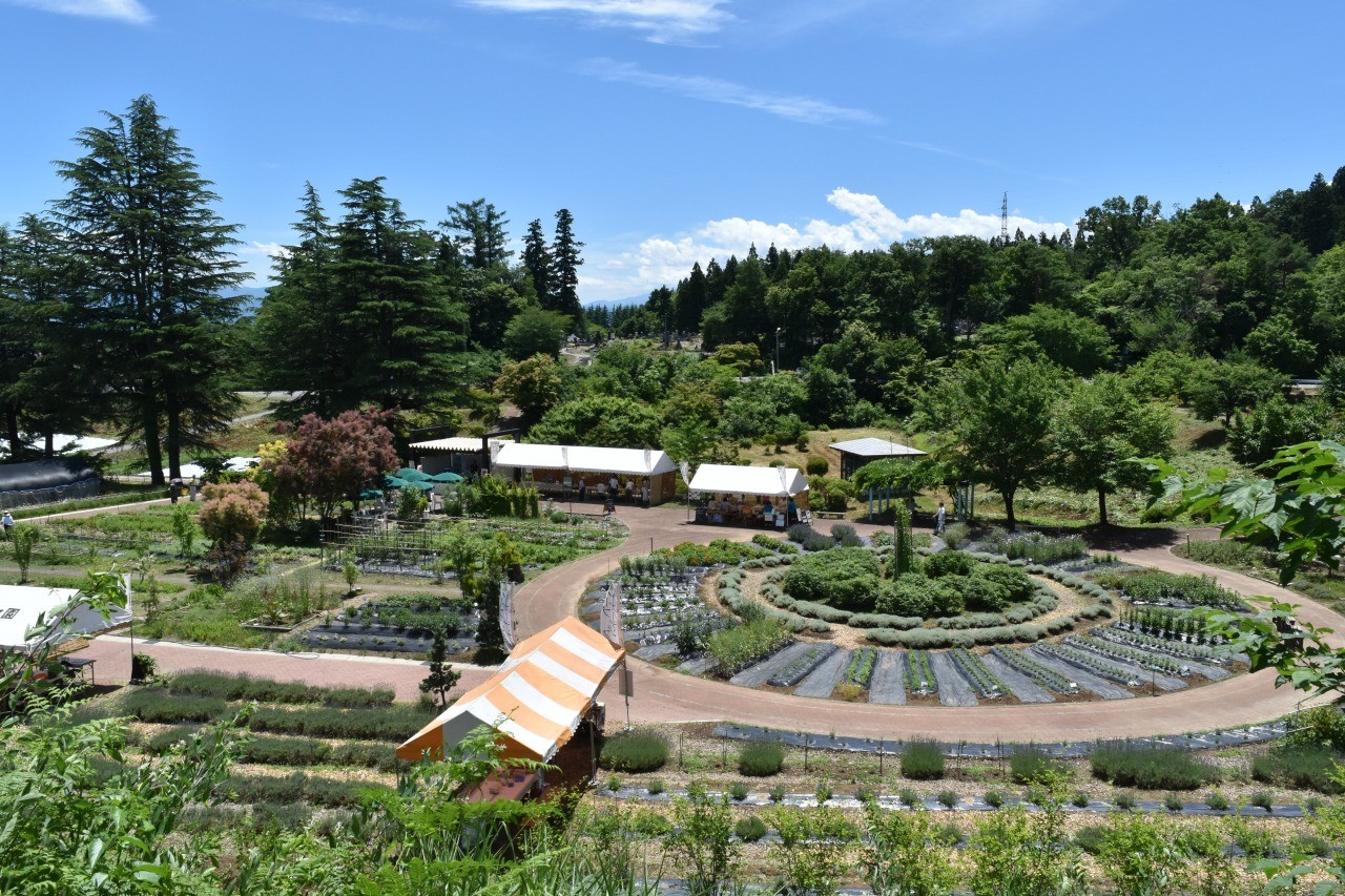 置賜公園ハーブガーデンフェア 東北の観光スポットを探す 旅東北 東北の観光 旅行情報サイト