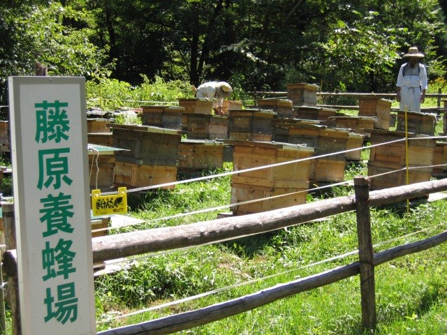 藤原養蜂場