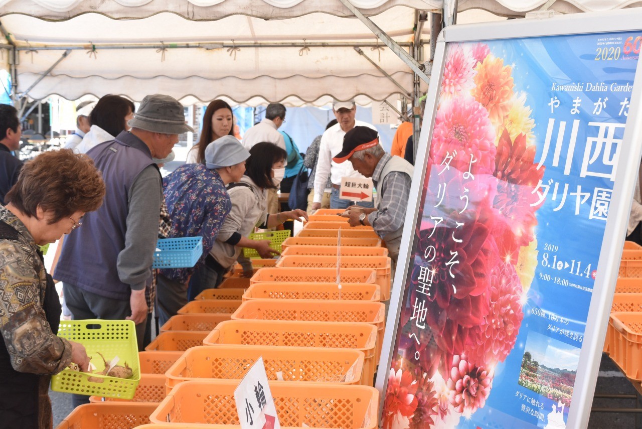 22年度の開催未定 ダリア球根直売会 東北の観光スポットを探す 旅東北 東北の観光 旅行情報サイト