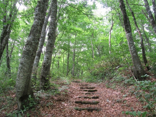 山刀伐峠