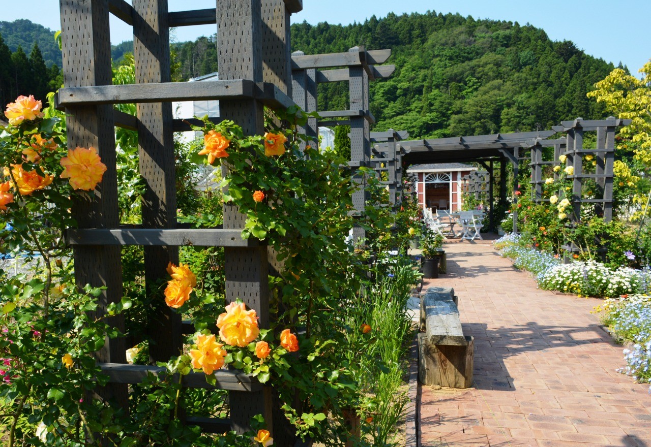 Otsukatsu Rose Factory Garden