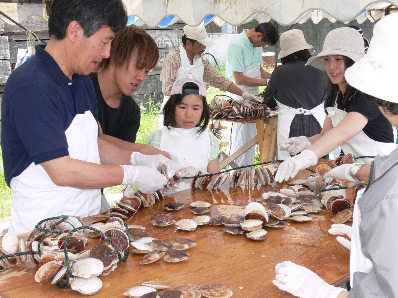 ホタテ漁業体験 東北dc観光素材集 旅東北 東北の観光 旅行情報サイト