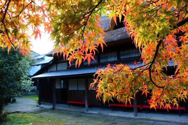 重要文化的景観「秋の旧丸大扇屋」