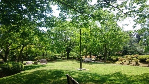 白つつじまつり「新緑」