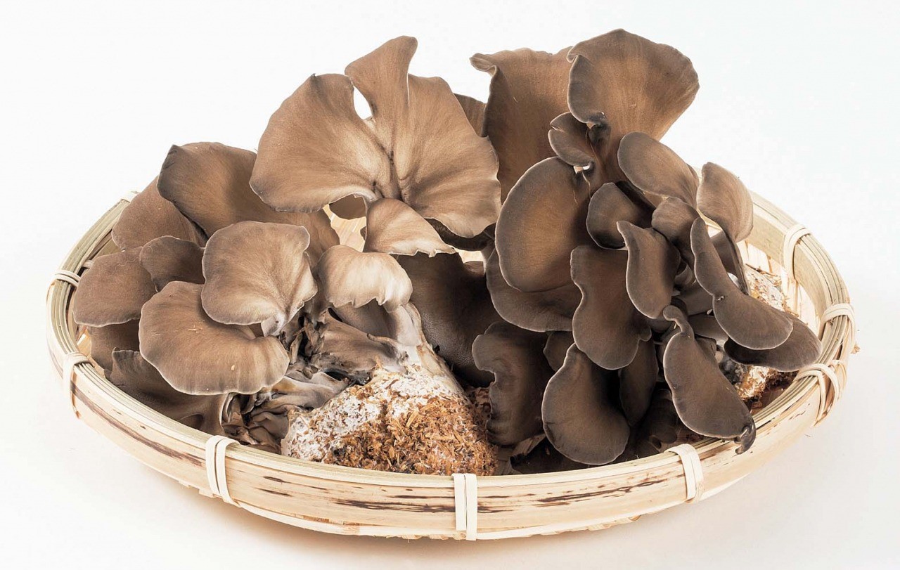 Maitake mushrooms