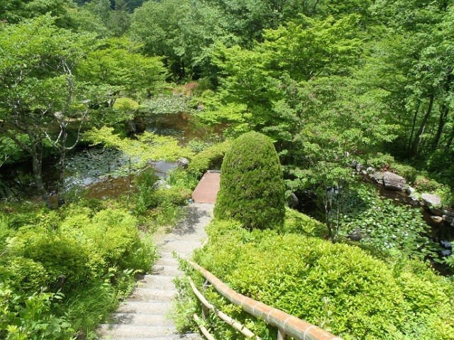 101183　秋保大滝植物園(1)