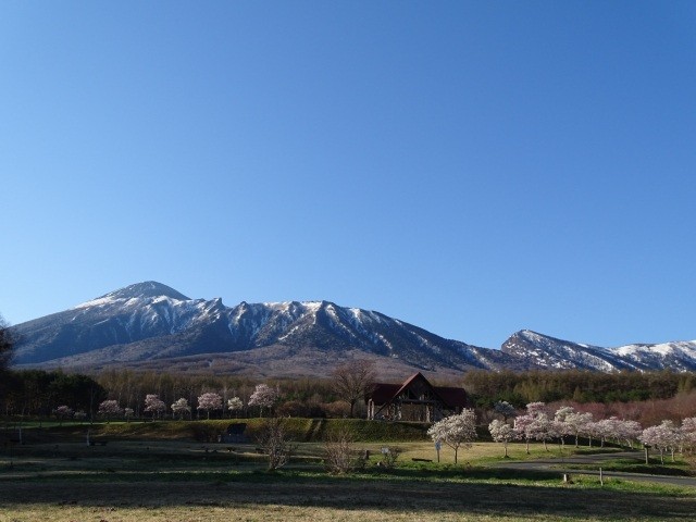 岩手県県民の森