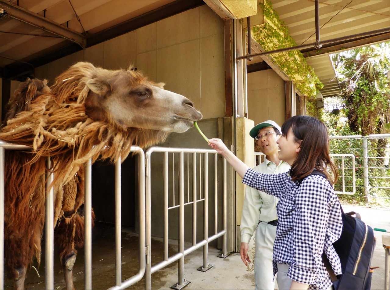 八木山動物公園　ゴールデンウィーク特別イベント