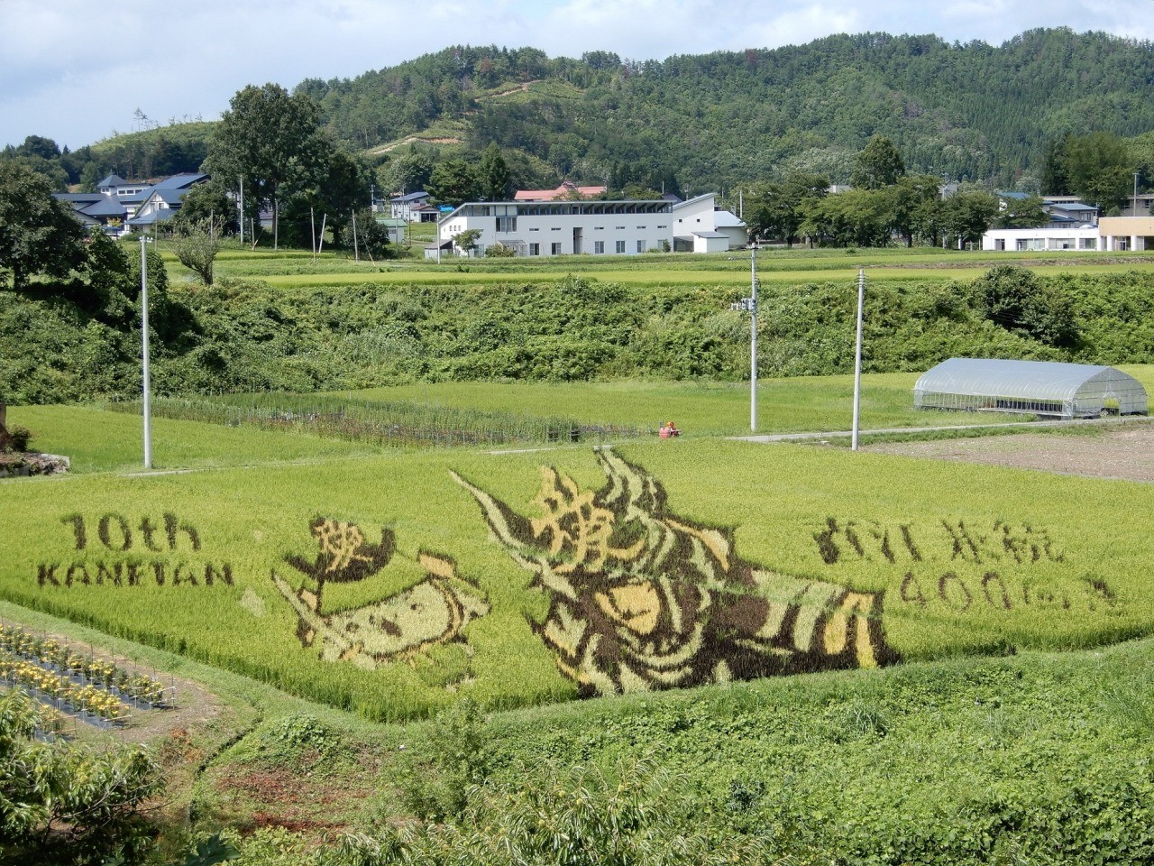 Yonezawa -shi rice field art