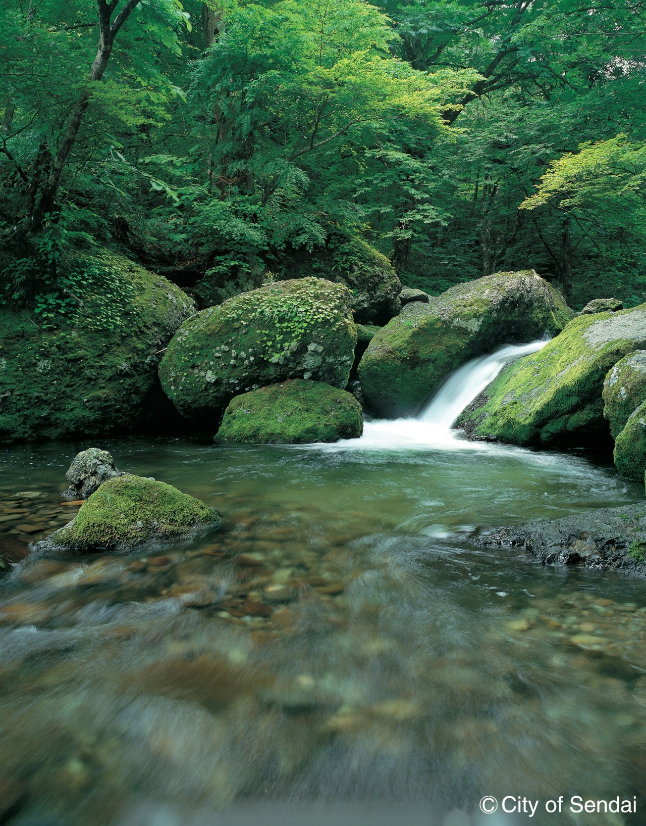 二口峡谷 東北dc観光素材集 旅東北 東北の観光 旅行情報サイト