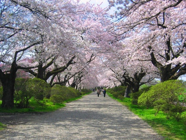 北上展勝地