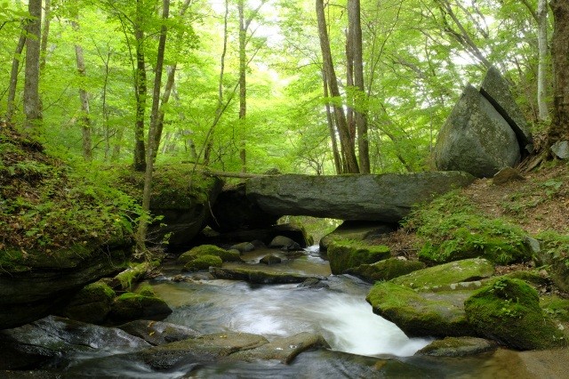 天狗橋