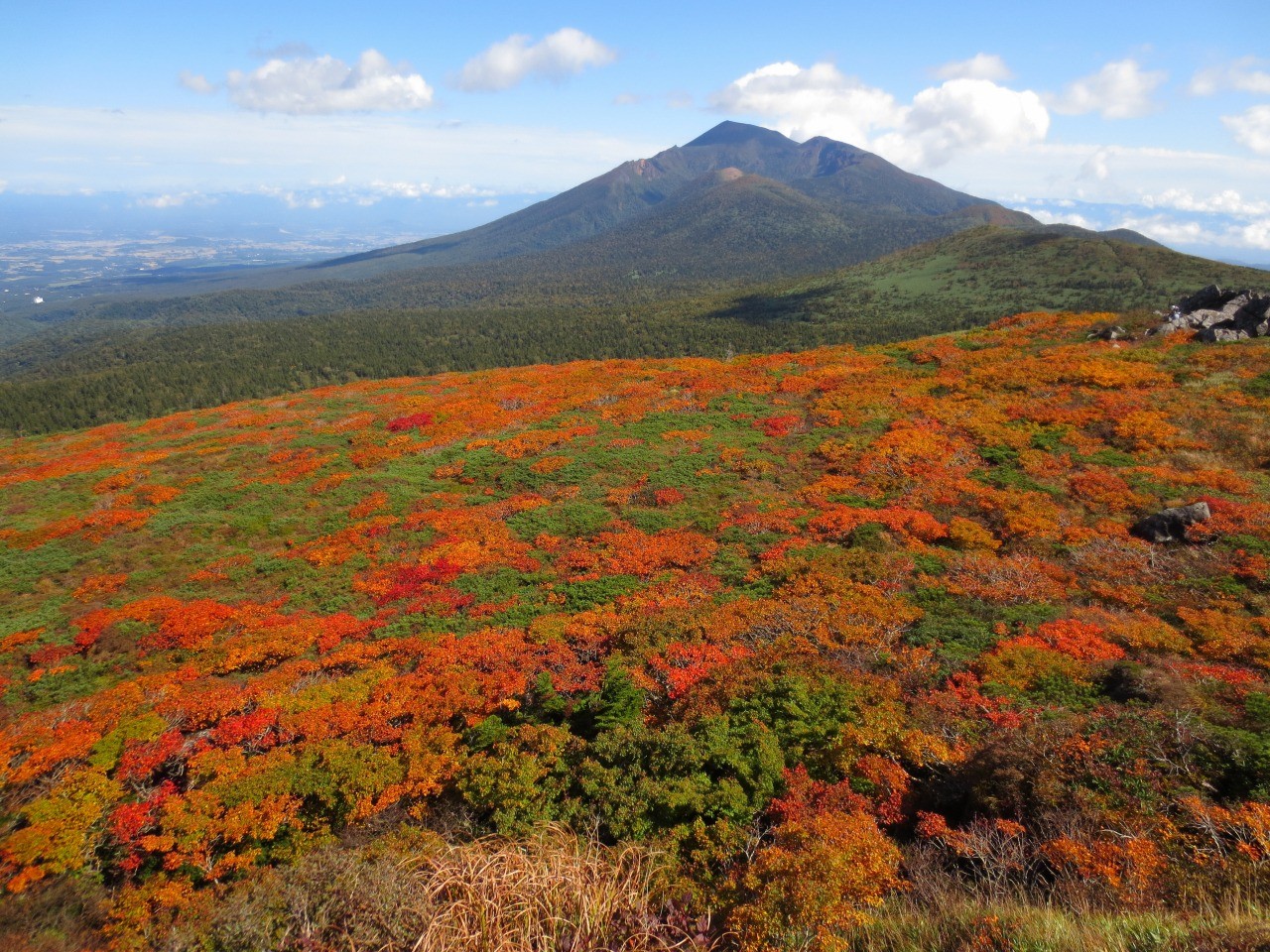 Autumn Leaves Guided Hiking Tour in the Ura-Iwate Mountains