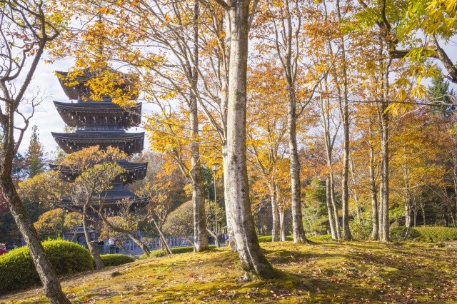101111 定義山西方寺