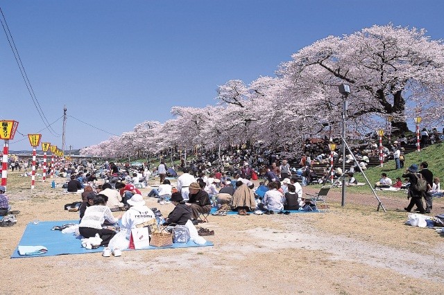 白石川公園