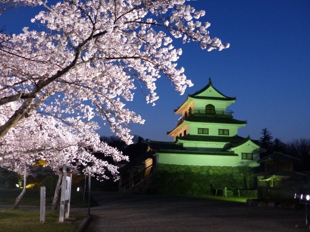 夜桜ライトアップ白石城