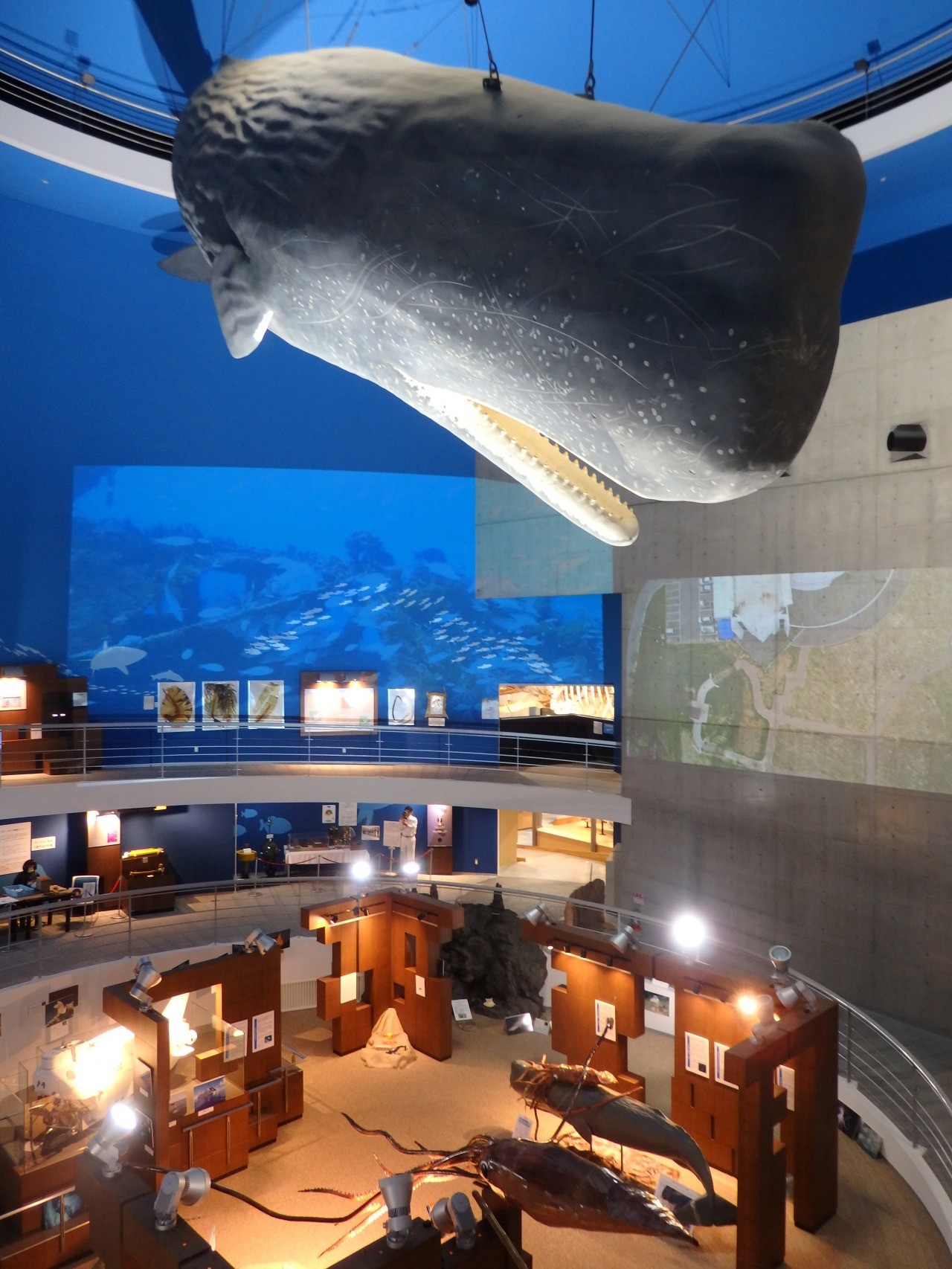 【岩手県山田町】鯨と海の科学館