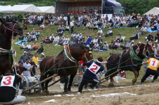 馬力大会レースの様子