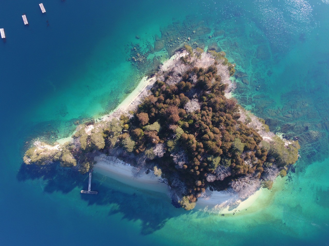 Experience Yamada-style camping and eating on Oranda Island, an uninhabited island in Sanriku