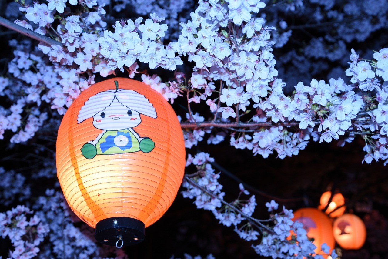 Motomiya City Spring Festival