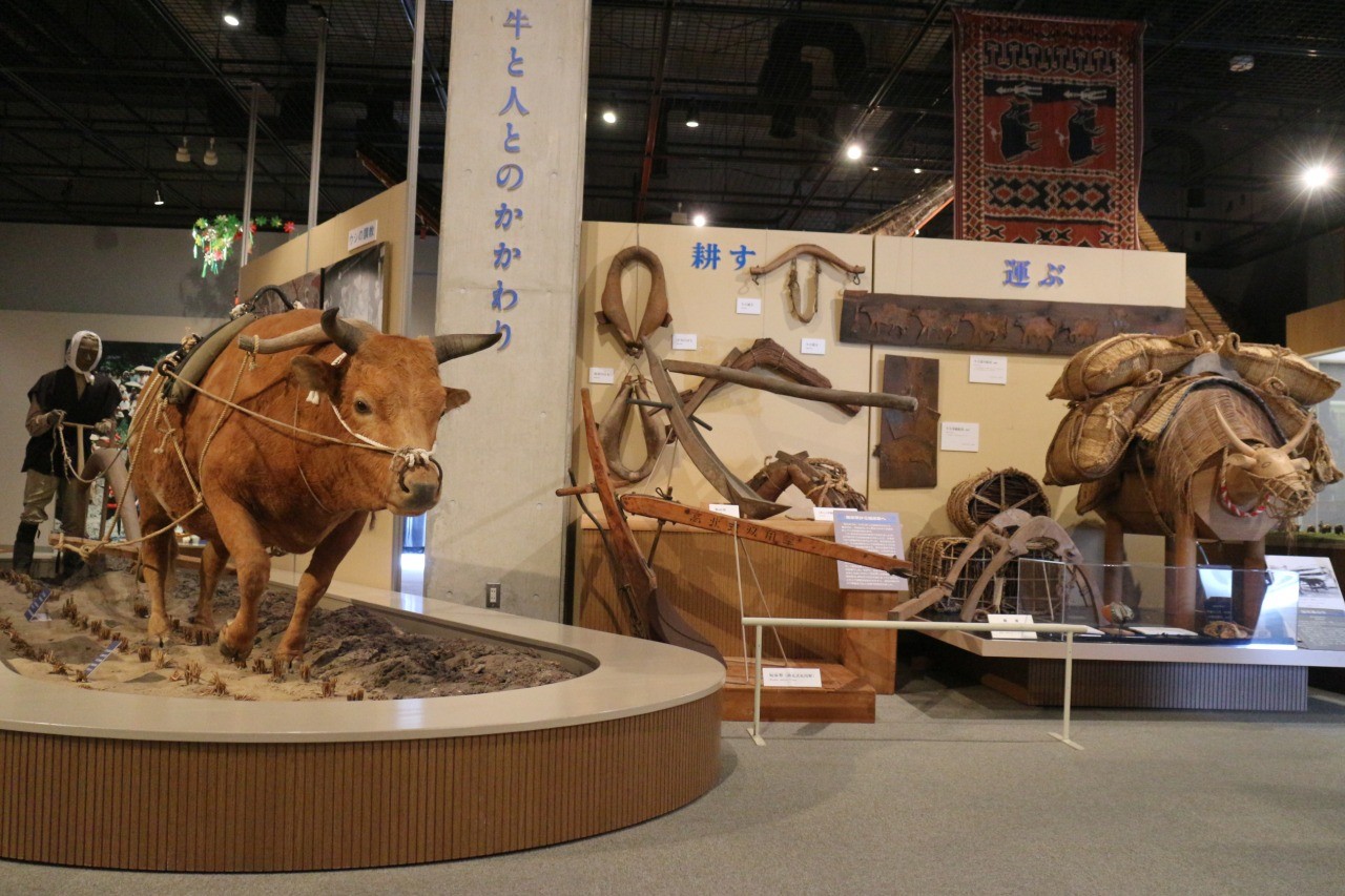 奥州市牛の博物館