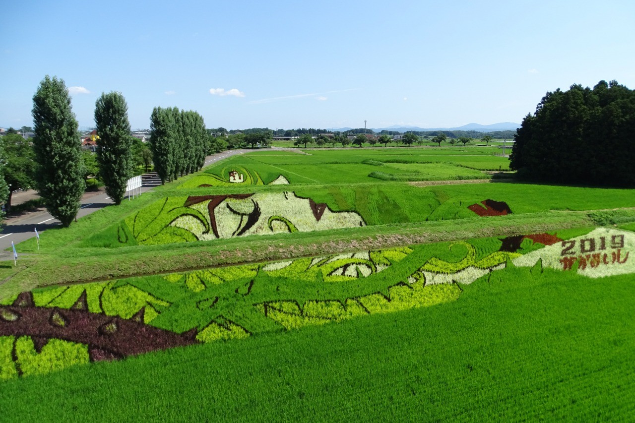2021 Kagamiishi Rice Field Art (Kagamiishi, Fukushima Prefecture)