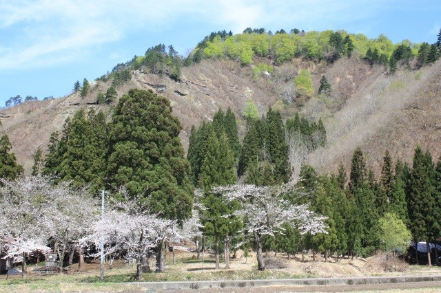 要害山