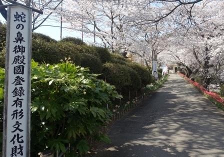 花と歴史の郷 蛇の鼻 旅東北 東北の観光 旅行情報サイト