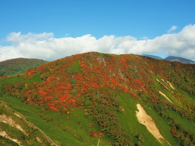 犬倉山の紅葉