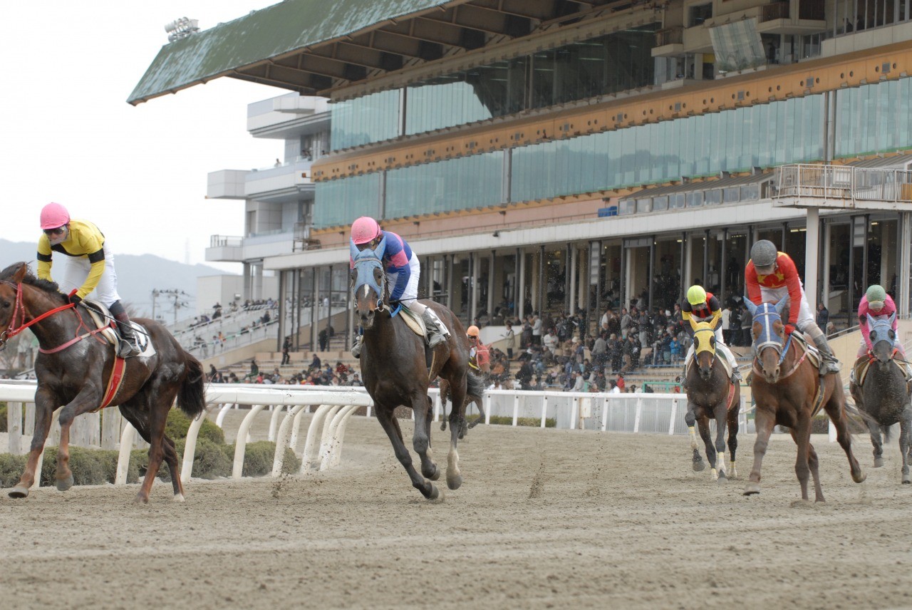 水沢競馬場