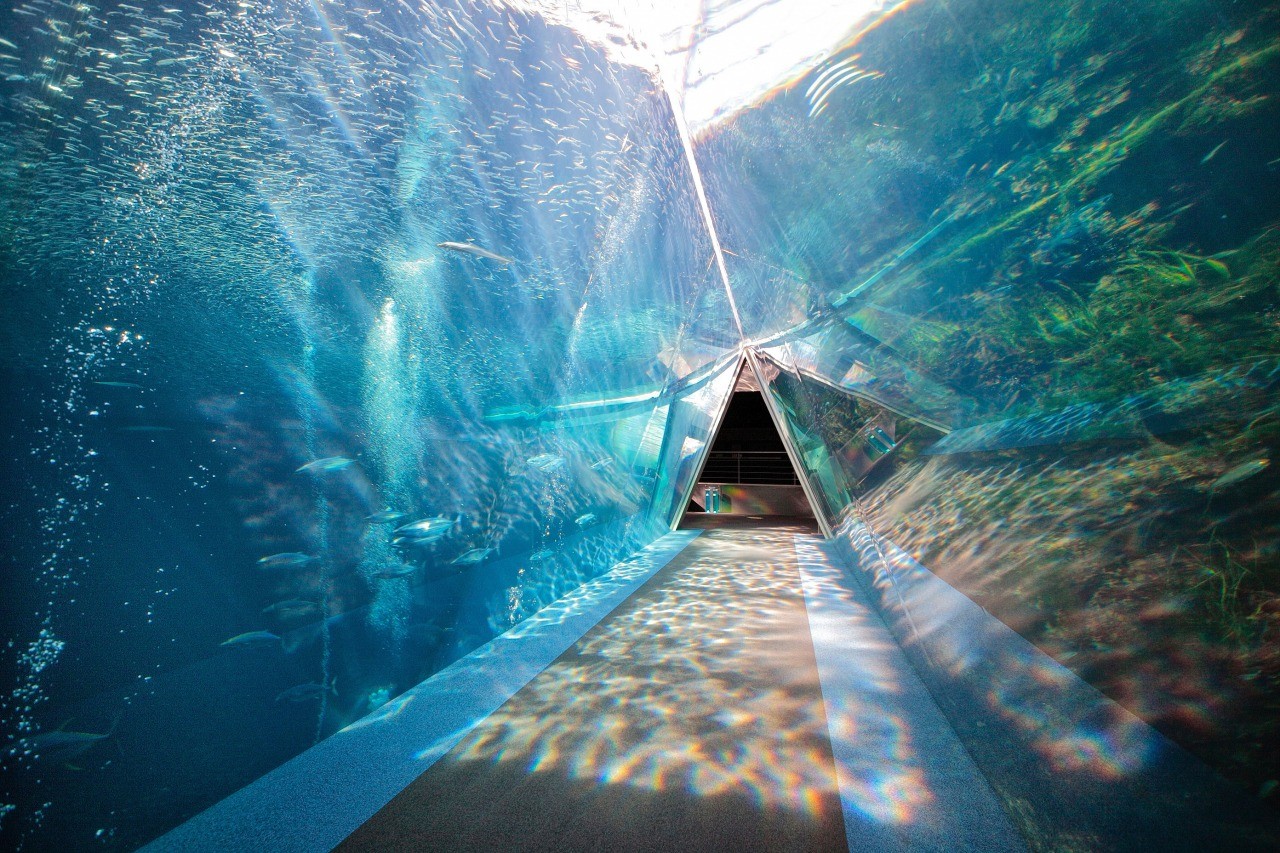环境水族馆“海蓝宝石福岛”