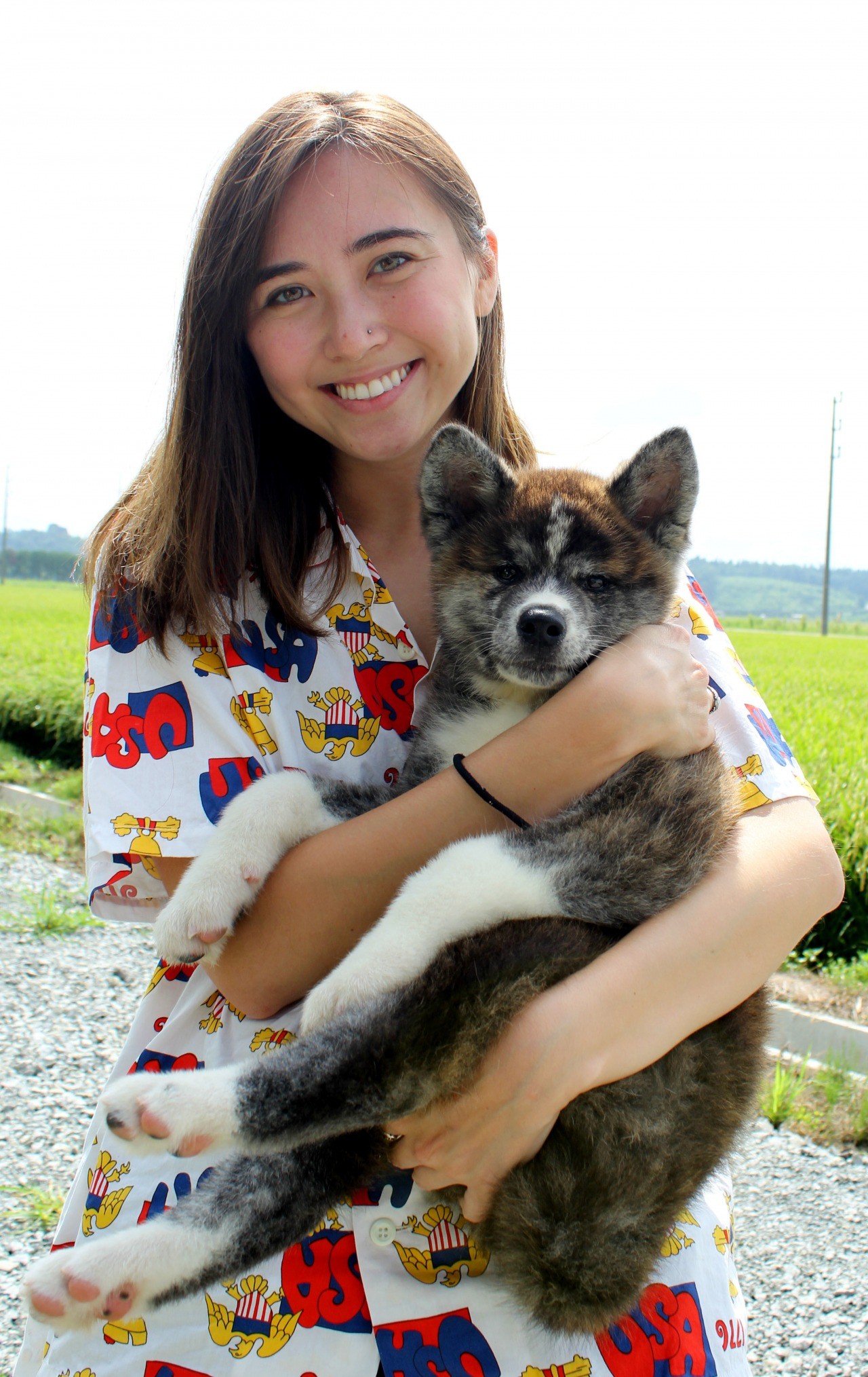 Akita dog petting experience (Noshiro City, Akita Prefecture)