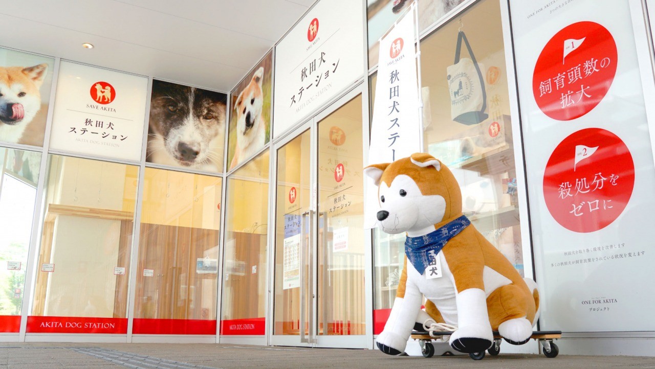 Akita Dog Station (Akita City, Akita Prefecture)