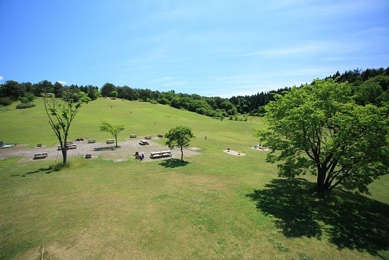 園内風景