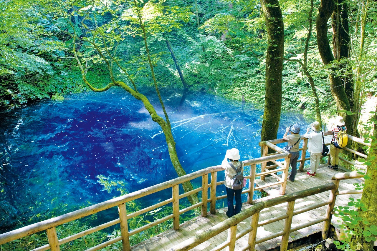 世界自然遺產白神山地山腳下的「青池」