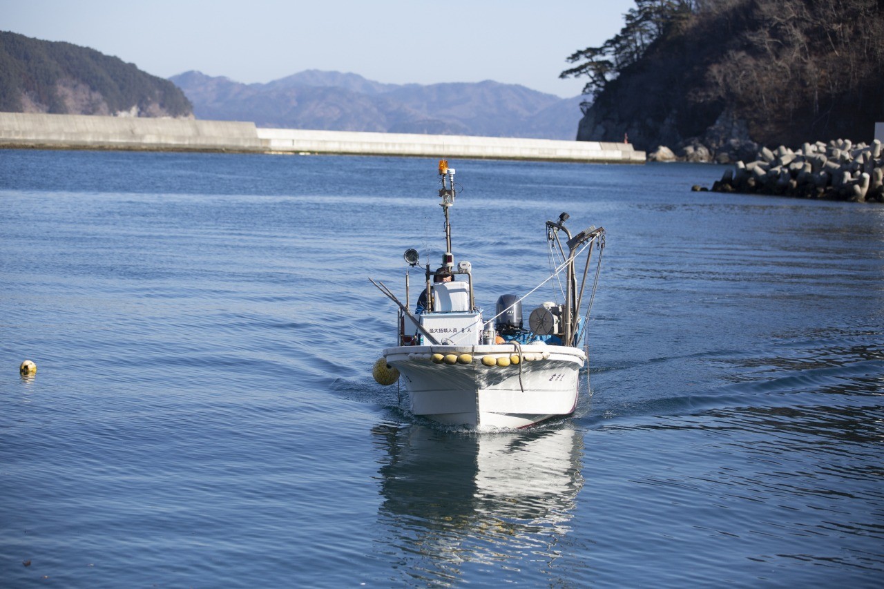 【岩手県釜石市】根浜海岸で漁船クルーズ