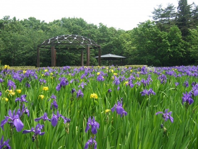 水生植物園