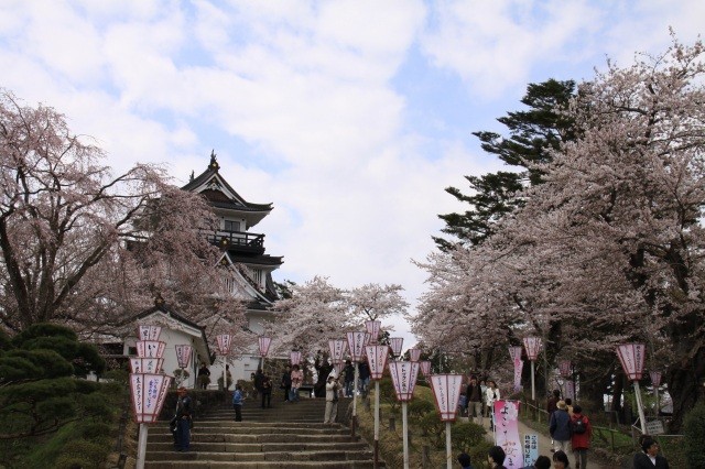 桜・お城１