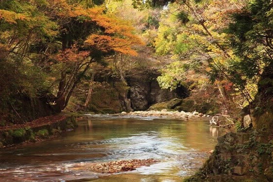 風景