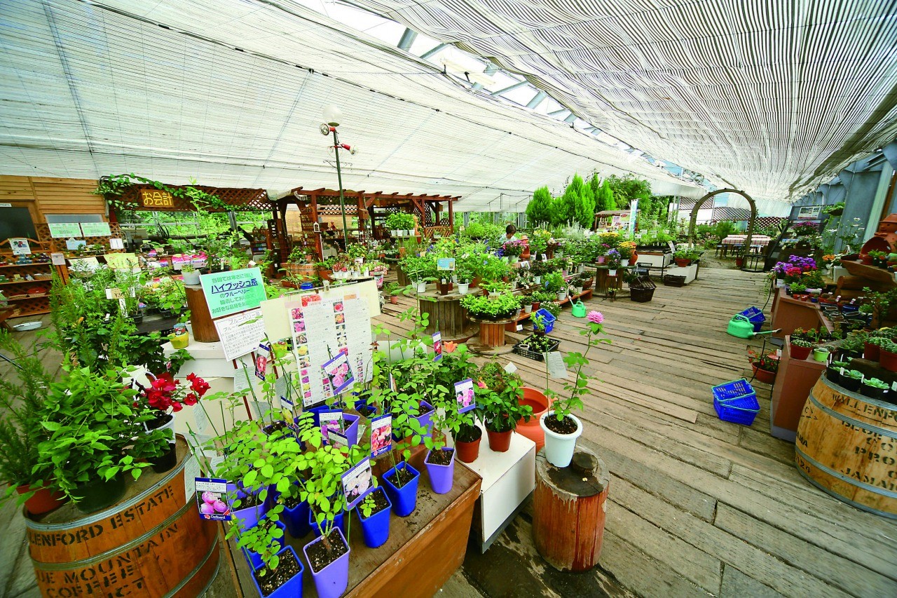 Lake Tazawa Herb Garden 