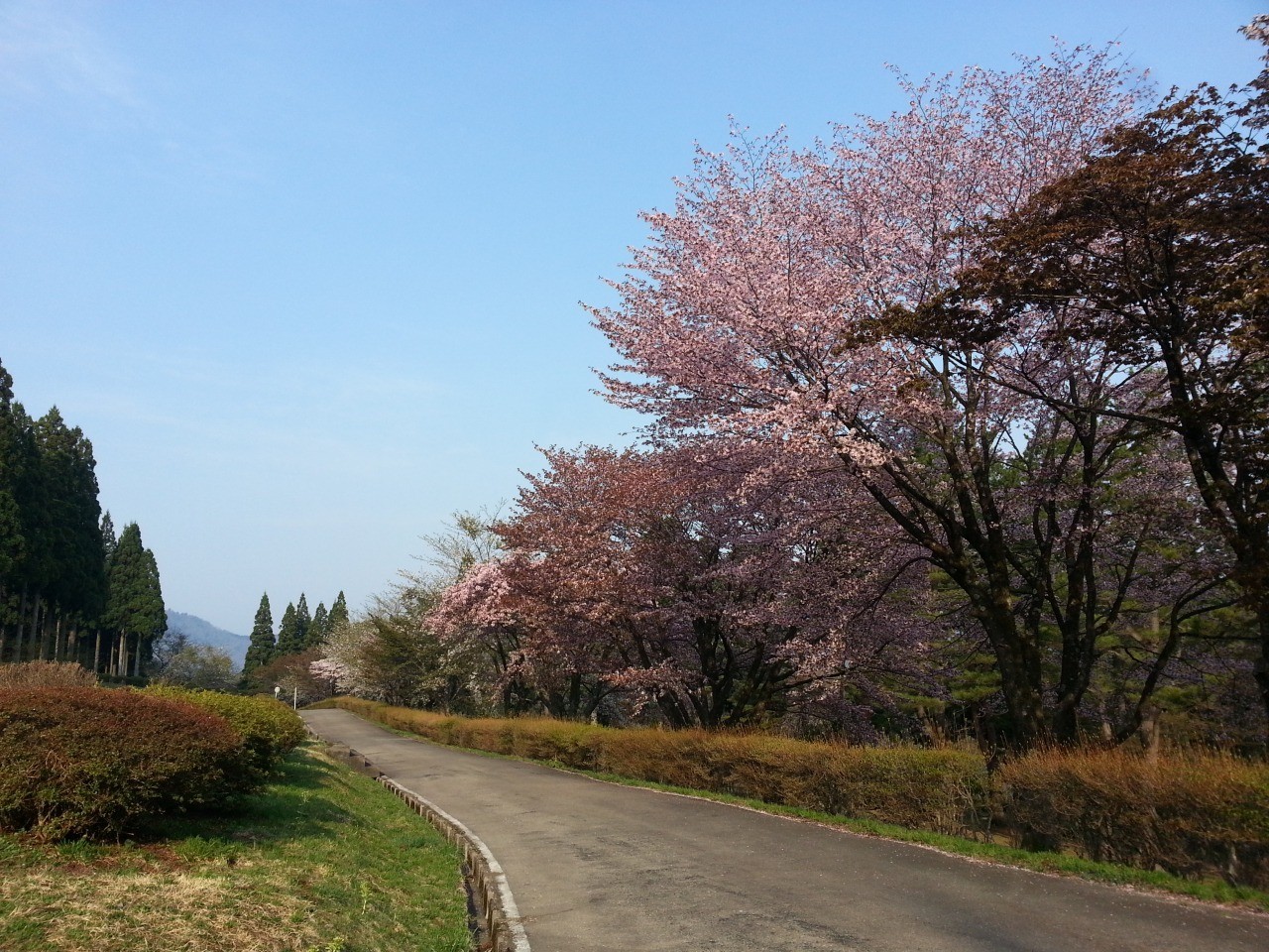 Akita Prefectural Citizens' Forest (Senboku City, Akita Prefecture)