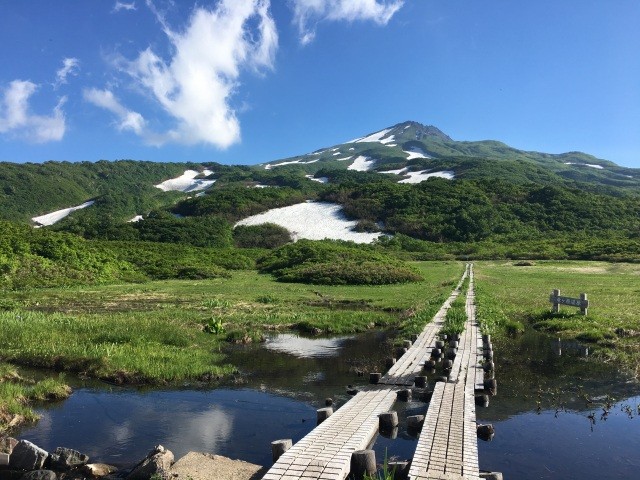 鳥海山竜ケ原湿原（初夏）