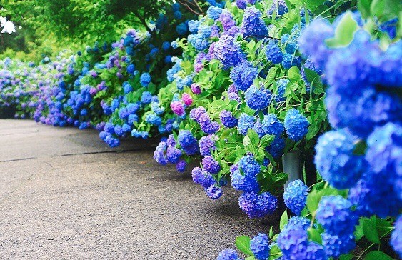 雲昌寺（秋田県男鹿市）