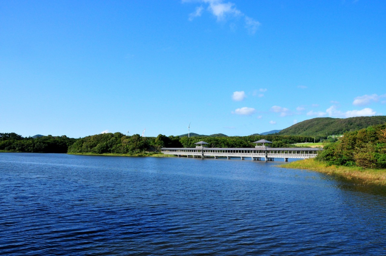 大沼公園