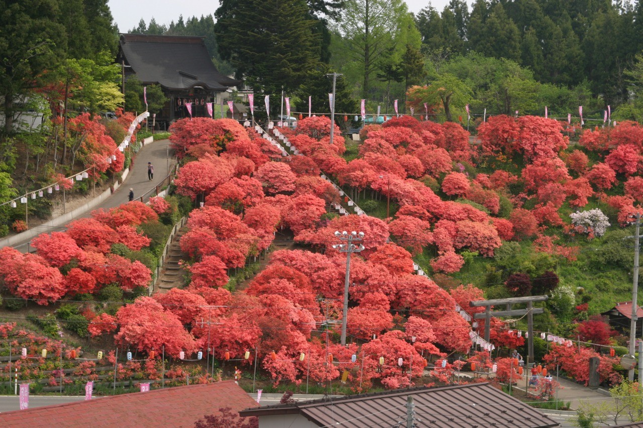 七戸町天王神社のつつじ