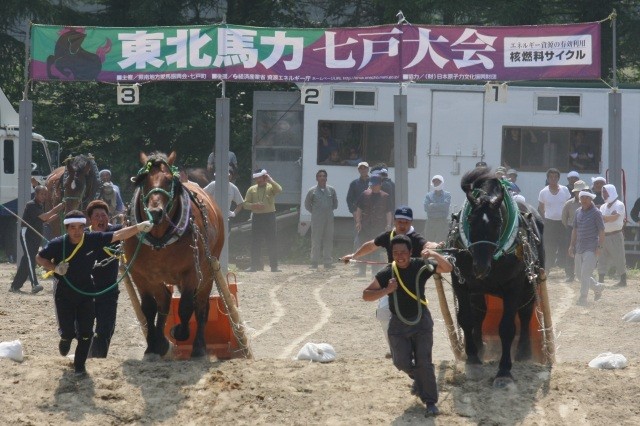 迫力ある馬力レース